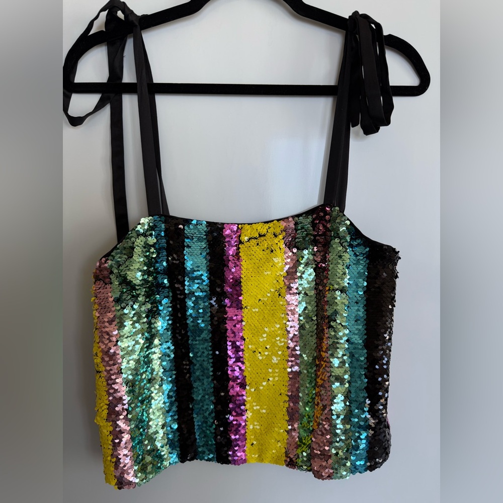 Zara Multicolor Sequin Striped Top